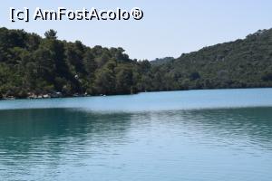 [P19] Malo Jezero » foto by adina p.
 - 
<span class="allrVoted glyphicon glyphicon-heart hidden" id="av1085862"></span>
<a class="m-l-10 hidden" id="sv1085862" onclick="voting_Foto_DelVot(,1085862,25379)" role="button">șterge vot <span class="glyphicon glyphicon-remove"></span></a>
<a id="v91085862" class=" c-red"  onclick="voting_Foto_SetVot(1085862)" role="button"><span class="glyphicon glyphicon-heart-empty"></span> <b>LIKE</b> = Votează poza</a> <img class="hidden"  id="f1085862W9" src="/imagini/loader.gif" border="0" /><span class="AjErrMes hidden" id="e1085862ErM"></span>