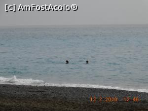 [P30] Două fete curajoase au făcut baie în mare » foto by irinad
 - 
<span class="allrVoted glyphicon glyphicon-heart hidden" id="av1161725"></span>
<a class="m-l-10 hidden" id="sv1161725" onclick="voting_Foto_DelVot(,1161725,25401)" role="button">șterge vot <span class="glyphicon glyphicon-remove"></span></a>
<a id="v91161725" class=" c-red"  onclick="voting_Foto_SetVot(1161725)" role="button"><span class="glyphicon glyphicon-heart-empty"></span> <b>LIKE</b> = Votează poza</a> <img class="hidden"  id="f1161725W9" src="/imagini/loader.gif" border="0" /><span class="AjErrMes hidden" id="e1161725ErM"></span>