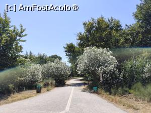 [P02] Alee de la Lacul Agia » foto by ilee
 - 
<span class="allrVoted glyphicon glyphicon-heart hidden" id="av1495238"></span>
<a class="m-l-10 hidden" id="sv1495238" onclick="voting_Foto_DelVot(,1495238,25424)" role="button">șterge vot <span class="glyphicon glyphicon-remove"></span></a>
<a id="v91495238" class=" c-red"  onclick="voting_Foto_SetVot(1495238)" role="button"><span class="glyphicon glyphicon-heart-empty"></span> <b>LIKE</b> = Votează poza</a> <img class="hidden"  id="f1495238W9" src="/imagini/loader.gif" border="0" /><span class="AjErrMes hidden" id="e1495238ErM"></span>