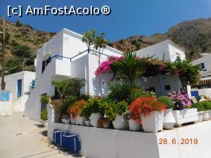 [P37] Culori şi flori în Loutro, la un hotel micuţ » foto by irinad
 - 
<span class="allrVoted glyphicon glyphicon-heart hidden" id="av1094756"></span>
<a class="m-l-10 hidden" id="sv1094756" onclick="voting_Foto_DelVot(,1094756,25424)" role="button">șterge vot <span class="glyphicon glyphicon-remove"></span></a>
<a id="v91094756" class=" c-red"  onclick="voting_Foto_SetVot(1094756)" role="button"><span class="glyphicon glyphicon-heart-empty"></span> <b>LIKE</b> = Votează poza</a> <img class="hidden"  id="f1094756W9" src="/imagini/loader.gif" border="0" /><span class="AjErrMes hidden" id="e1094756ErM"></span>