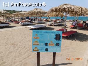 [P30] Preţurile pentru şezlonguri pe plaja Pachia Ammos » foto by irinad
 - 
<span class="allrVoted glyphicon glyphicon-heart hidden" id="av1149827"></span>
<a class="m-l-10 hidden" id="sv1149827" onclick="voting_Foto_DelVot(,1149827,25424)" role="button">șterge vot <span class="glyphicon glyphicon-remove"></span></a>
<a id="v91149827" class=" c-red"  onclick="voting_Foto_SetVot(1149827)" role="button"><span class="glyphicon glyphicon-heart-empty"></span> <b>LIKE</b> = Votează poza</a> <img class="hidden"  id="f1149827W9" src="/imagini/loader.gif" border="0" /><span class="AjErrMes hidden" id="e1149827ErM"></span>