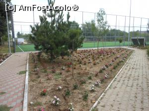 [P32] Bechet - În parcul orășenesc.  » foto by iulianic
 - 
<span class="allrVoted glyphicon glyphicon-heart hidden" id="av1091325"></span>
<a class="m-l-10 hidden" id="sv1091325" onclick="voting_Foto_DelVot(,1091325,25455)" role="button">șterge vot <span class="glyphicon glyphicon-remove"></span></a>
<a id="v91091325" class=" c-red"  onclick="voting_Foto_SetVot(1091325)" role="button"><span class="glyphicon glyphicon-heart-empty"></span> <b>LIKE</b> = Votează poza</a> <img class="hidden"  id="f1091325W9" src="/imagini/loader.gif" border="0" /><span class="AjErrMes hidden" id="e1091325ErM"></span>