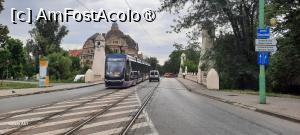 [P33] Timișoara, tramvaiul 4 și podul Decebal ziua » foto by mprofeanu
 - 
<span class="allrVoted glyphicon glyphicon-heart hidden" id="av1495458"></span>
<a class="m-l-10 hidden" id="sv1495458" onclick="voting_Foto_DelVot(,1495458,25464)" role="button">șterge vot <span class="glyphicon glyphicon-remove"></span></a>
<a id="v91495458" class=" c-red"  onclick="voting_Foto_SetVot(1495458)" role="button"><span class="glyphicon glyphicon-heart-empty"></span> <b>LIKE</b> = Votează poza</a> <img class="hidden"  id="f1495458W9" src="/imagini/loader.gif" border="0" /><span class="AjErrMes hidden" id="e1495458ErM"></span>