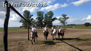 [P01] Ferma Santa Susana » foto by elenaadina
 - 
<span class="allrVoted glyphicon glyphicon-heart hidden" id="av1519358"></span>
<a class="m-l-10 hidden" id="sv1519358" onclick="voting_Foto_DelVot(,1519358,25466)" role="button">șterge vot <span class="glyphicon glyphicon-remove"></span></a>
<a id="v91519358" class=" c-red"  onclick="voting_Foto_SetVot(1519358)" role="button"><span class="glyphicon glyphicon-heart-empty"></span> <b>LIKE</b> = Votează poza</a> <img class="hidden"  id="f1519358W9" src="/imagini/loader.gif" border="0" /><span class="AjErrMes hidden" id="e1519358ErM"></span>