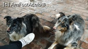 [P28]  -- <small>// FĂRĂ DESCRIERE</small> » foto by elenaadina
 - 
<span class="allrVoted glyphicon glyphicon-heart hidden" id="av1519385"></span>
<a class="m-l-10 hidden" id="sv1519385" onclick="voting_Foto_DelVot(,1519385,25466)" role="button">șterge vot <span class="glyphicon glyphicon-remove"></span></a>
<a id="v91519385" class=" c-red"  onclick="voting_Foto_SetVot(1519385)" role="button"><span class="glyphicon glyphicon-heart-empty"></span> <b>LIKE</b> = Votează poza</a> <img class="hidden"  id="f1519385W9" src="/imagini/loader.gif" border="0" /><span class="AjErrMes hidden" id="e1519385ErM"></span>