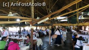 [P29]  -- <small>// FĂRĂ DESCRIERE</small> » foto by elenaadina
 - 
<span class="allrVoted glyphicon glyphicon-heart hidden" id="av1519386"></span>
<a class="m-l-10 hidden" id="sv1519386" onclick="voting_Foto_DelVot(,1519386,25466)" role="button">șterge vot <span class="glyphicon glyphicon-remove"></span></a>
<a id="v91519386" class=" c-red"  onclick="voting_Foto_SetVot(1519386)" role="button"><span class="glyphicon glyphicon-heart-empty"></span> <b>LIKE</b> = Votează poza</a> <img class="hidden"  id="f1519386W9" src="/imagini/loader.gif" border="0" /><span class="AjErrMes hidden" id="e1519386ErM"></span>