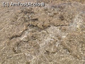 [P15]  -- <small>// FĂRĂ DESCRIERE</small> » foto by lili.sib
 - 
<span class="allrVoted glyphicon glyphicon-heart hidden" id="av1092206"></span>
<a class="m-l-10 hidden" id="sv1092206" onclick="voting_Foto_DelVot(,1092206,25471)" role="button">șterge vot <span class="glyphicon glyphicon-remove"></span></a>
<a id="v91092206" class=" c-red"  onclick="voting_Foto_SetVot(1092206)" role="button"><span class="glyphicon glyphicon-heart-empty"></span> <b>LIKE</b> = Votează poza</a> <img class="hidden"  id="f1092206W9" src="/imagini/loader.gif" border="0" /><span class="AjErrMes hidden" id="e1092206ErM"></span>