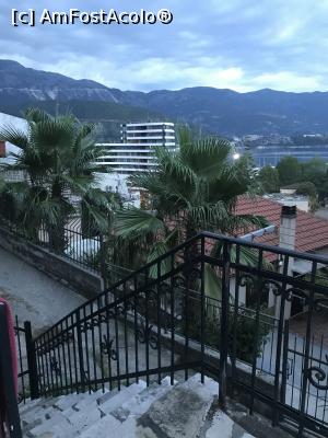[P44] Din balcon, locul în care mi-am petrecut cel mai mult timp, mai mult decât în cameră.  » foto by krisstinna
 - 
<span class="allrVoted glyphicon glyphicon-heart hidden" id="av1092737"></span>
<a class="m-l-10 hidden" id="sv1092737" onclick="voting_Foto_DelVot(,1092737,25478)" role="button">șterge vot <span class="glyphicon glyphicon-remove"></span></a>
<a id="v91092737" class=" c-red"  onclick="voting_Foto_SetVot(1092737)" role="button"><span class="glyphicon glyphicon-heart-empty"></span> <b>LIKE</b> = Votează poza</a> <img class="hidden"  id="f1092737W9" src="/imagini/loader.gif" border="0" /><span class="AjErrMes hidden" id="e1092737ErM"></span>