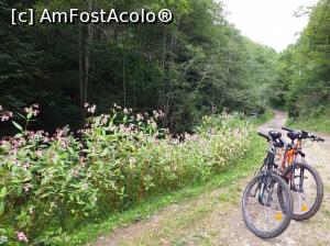 [P08] Biking pe valea Zlatinei » foto by cris71
 - 
<span class="allrVoted glyphicon glyphicon-heart hidden" id="av1094517"></span>
<a class="m-l-10 hidden" id="sv1094517" onclick="voting_Foto_DelVot(,1094517,25506)" role="button">șterge vot <span class="glyphicon glyphicon-remove"></span></a>
<a id="v91094517" class=" c-red"  onclick="voting_Foto_SetVot(1094517)" role="button"><span class="glyphicon glyphicon-heart-empty"></span> <b>LIKE</b> = Votează poza</a> <img class="hidden"  id="f1094517W9" src="/imagini/loader.gif" border="0" /><span class="AjErrMes hidden" id="e1094517ErM"></span>