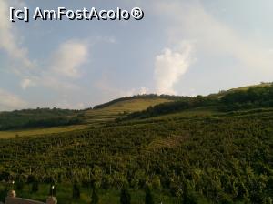 [P01] Pensiunea este situată în podgorie » foto by Cdia
 - 
<span class="allrVoted glyphicon glyphicon-heart hidden" id="av1094816"></span>
<a class="m-l-10 hidden" id="sv1094816" onclick="voting_Foto_DelVot(,1094816,25509)" role="button">șterge vot <span class="glyphicon glyphicon-remove"></span></a>
<a id="v91094816" class=" c-red"  onclick="voting_Foto_SetVot(1094816)" role="button"><span class="glyphicon glyphicon-heart-empty"></span> <b>LIKE</b> = Votează poza</a> <img class="hidden"  id="f1094816W9" src="/imagini/loader.gif" border="0" /><span class="AjErrMes hidden" id="e1094816ErM"></span>