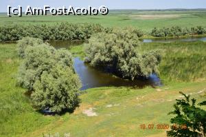 [P09] Aici sînt nuferii albi și mai ales cei galbeni » foto by KSV
 - 
<span class="allrVoted glyphicon glyphicon-heart hidden" id="av1173129"></span>
<a class="m-l-10 hidden" id="sv1173129" onclick="voting_Foto_DelVot(,1173129,25524)" role="button">șterge vot <span class="glyphicon glyphicon-remove"></span></a>
<a id="v91173129" class=" c-red"  onclick="voting_Foto_SetVot(1173129)" role="button"><span class="glyphicon glyphicon-heart-empty"></span> <b>LIKE</b> = Votează poza</a> <img class="hidden"  id="f1173129W9" src="/imagini/loader.gif" border="0" /><span class="AjErrMes hidden" id="e1173129ErM"></span>