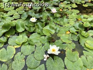[P03] Lac din localitatea Obzor » foto by gfstirbu
 - 
<span class="allrVoted glyphicon glyphicon-heart hidden" id="av1230664"></span>
<a class="m-l-10 hidden" id="sv1230664" onclick="voting_Foto_DelVot(,1230664,25526)" role="button">șterge vot <span class="glyphicon glyphicon-remove"></span></a>
<a id="v91230664" class=" c-red"  onclick="voting_Foto_SetVot(1230664)" role="button"><span class="glyphicon glyphicon-heart-empty"></span> <b>LIKE</b> = Votează poza</a> <img class="hidden"  id="f1230664W9" src="/imagini/loader.gif" border="0" /><span class="AjErrMes hidden" id="e1230664ErM"></span>