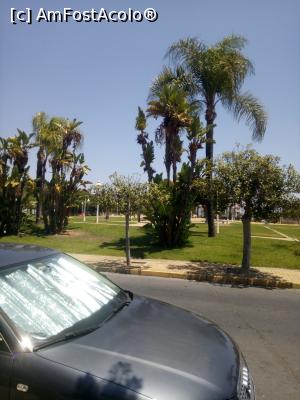 [P08] Parc in Islantilla - bananieri si palmieri » foto by kristy_
 - 
<span class="allrVoted glyphicon glyphicon-heart hidden" id="av1096623"></span>
<a class="m-l-10 hidden" id="sv1096623" onclick="voting_Foto_DelVot(,1096623,25547)" role="button">șterge vot <span class="glyphicon glyphicon-remove"></span></a>
<a id="v91096623" class=" c-red"  onclick="voting_Foto_SetVot(1096623)" role="button"><span class="glyphicon glyphicon-heart-empty"></span> <b>LIKE</b> = Votează poza</a> <img class="hidden"  id="f1096623W9" src="/imagini/loader.gif" border="0" /><span class="AjErrMes hidden" id="e1096623ErM"></span>