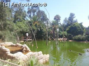 [P01] Lacul pasarilor flamingo » foto by kristy_
 - 
<span class="allrVoted glyphicon glyphicon-heart hidden" id="av1097001"></span>
<a class="m-l-10 hidden" id="sv1097001" onclick="voting_Foto_DelVot(,1097001,25554)" role="button">șterge vot <span class="glyphicon glyphicon-remove"></span></a>
<a id="v91097001" class=" c-red"  onclick="voting_Foto_SetVot(1097001)" role="button"><span class="glyphicon glyphicon-heart-empty"></span> <b>LIKE</b> = Votează poza</a> <img class="hidden"  id="f1097001W9" src="/imagini/loader.gif" border="0" /><span class="AjErrMes hidden" id="e1097001ErM"></span>