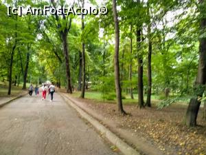 [P06] Parcul Central.  » foto by Radix7
 - 
<span class="allrVoted glyphicon glyphicon-heart hidden" id="av1102647"></span>
<a class="m-l-10 hidden" id="sv1102647" onclick="voting_Foto_DelVot(,1102647,25629)" role="button">șterge vot <span class="glyphicon glyphicon-remove"></span></a>
<a id="v91102647" class=" c-red"  onclick="voting_Foto_SetVot(1102647)" role="button"><span class="glyphicon glyphicon-heart-empty"></span> <b>LIKE</b> = Votează poza</a> <img class="hidden"  id="f1102647W9" src="/imagini/loader.gif" border="0" /><span class="AjErrMes hidden" id="e1102647ErM"></span>