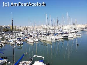 [P01] Trani pe faleza » foto by Nicu
 - 
<span class="allrVoted glyphicon glyphicon-heart hidden" id="av1104171"></span>
<a class="m-l-10 hidden" id="sv1104171" onclick="voting_Foto_DelVot(,1104171,25647)" role="button">șterge vot <span class="glyphicon glyphicon-remove"></span></a>
<a id="v91104171" class=" c-red"  onclick="voting_Foto_SetVot(1104171)" role="button"><span class="glyphicon glyphicon-heart-empty"></span> <b>LIKE</b> = Votează poza</a> <img class="hidden"  id="f1104171W9" src="/imagini/loader.gif" border="0" /><span class="AjErrMes hidden" id="e1104171ErM"></span>