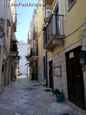 [P04] Pe strada asta am avut cazarea in Barletta » foto by Nicu
 - 
<span class="allrVoted glyphicon glyphicon-heart hidden" id="av1104186"></span>
<a class="m-l-10 hidden" id="sv1104186" onclick="voting_Foto_DelVot(,1104186,25647)" role="button">șterge vot <span class="glyphicon glyphicon-remove"></span></a>
<a id="v91104186" class=" c-red"  onclick="voting_Foto_SetVot(1104186)" role="button"><span class="glyphicon glyphicon-heart-empty"></span> <b>LIKE</b> = Votează poza</a> <img class="hidden"  id="f1104186W9" src="/imagini/loader.gif" border="0" /><span class="AjErrMes hidden" id="e1104186ErM"></span>