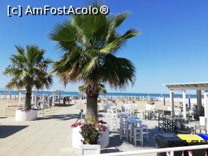[P06] Plaja cu plata in Barletta » foto by Nicu
 - 
<span class="allrVoted glyphicon glyphicon-heart hidden" id="av1104188"></span>
<a class="m-l-10 hidden" id="sv1104188" onclick="voting_Foto_DelVot(,1104188,25647)" role="button">șterge vot <span class="glyphicon glyphicon-remove"></span></a>
<a id="v91104188" class=" c-red"  onclick="voting_Foto_SetVot(1104188)" role="button"><span class="glyphicon glyphicon-heart-empty"></span> <b>LIKE</b> = Votează poza</a> <img class="hidden"  id="f1104188W9" src="/imagini/loader.gif" border="0" /><span class="AjErrMes hidden" id="e1104188ErM"></span>