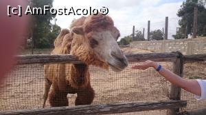 [P19] zoo Friguia » foto by adrianradu
 - 
<span class="allrVoted glyphicon glyphicon-heart hidden" id="av1106798"></span>
<a class="m-l-10 hidden" id="sv1106798" onclick="voting_Foto_DelVot(,1106798,25687)" role="button">șterge vot <span class="glyphicon glyphicon-remove"></span></a>
<a id="v91106798" class=" c-red"  onclick="voting_Foto_SetVot(1106798)" role="button"><span class="glyphicon glyphicon-heart-empty"></span> <b>LIKE</b> = Votează poza</a> <img class="hidden"  id="f1106798W9" src="/imagini/loader.gif" border="0" /><span class="AjErrMes hidden" id="e1106798ErM"></span>