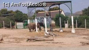 [P21] zoo Friguia » foto by adrianradu
 - 
<span class="allrVoted glyphicon glyphicon-heart hidden" id="av1106800"></span>
<a class="m-l-10 hidden" id="sv1106800" onclick="voting_Foto_DelVot(,1106800,25687)" role="button">șterge vot <span class="glyphicon glyphicon-remove"></span></a>
<a id="v91106800" class=" c-red"  onclick="voting_Foto_SetVot(1106800)" role="button"><span class="glyphicon glyphicon-heart-empty"></span> <b>LIKE</b> = Votează poza</a> <img class="hidden"  id="f1106800W9" src="/imagini/loader.gif" border="0" /><span class="AjErrMes hidden" id="e1106800ErM"></span>