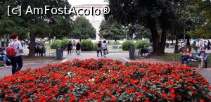 [P08] Parcul central din Piazza Bra » foto by gettyy
 - 
<span class="allrVoted glyphicon glyphicon-heart hidden" id="av1128331"></span>
<a class="m-l-10 hidden" id="sv1128331" onclick="voting_Foto_DelVot(,1128331,25716)" role="button">șterge vot <span class="glyphicon glyphicon-remove"></span></a>
<a id="v91128331" class=" c-red"  onclick="voting_Foto_SetVot(1128331)" role="button"><span class="glyphicon glyphicon-heart-empty"></span> <b>LIKE</b> = Votează poza</a> <img class="hidden"  id="f1128331W9" src="/imagini/loader.gif" border="0" /><span class="AjErrMes hidden" id="e1128331ErM"></span>