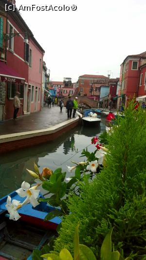[P14] Burano - frumos şi colorat!  » foto by gettyy
 - 
<span class="allrVoted glyphicon glyphicon-heart hidden" id="av1149928"></span>
<a class="m-l-10 hidden" id="sv1149928" onclick="voting_Foto_DelVot(,1149928,25716)" role="button">șterge vot <span class="glyphicon glyphicon-remove"></span></a>
<a id="v91149928" class=" c-red"  onclick="voting_Foto_SetVot(1149928)" role="button"><span class="glyphicon glyphicon-heart-empty"></span> <b>LIKE</b> = Votează poza</a> <img class="hidden"  id="f1149928W9" src="/imagini/loader.gif" border="0" /><span class="AjErrMes hidden" id="e1149928ErM"></span>