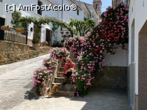 [P07] Case îmbrăcate în flori în Ardales.  » foto by Aurici
 - 
<span class="allrVoted glyphicon glyphicon-heart hidden" id="av1109832"></span>
<a class="m-l-10 hidden" id="sv1109832" onclick="voting_Foto_DelVot(,1109832,25725)" role="button">șterge vot <span class="glyphicon glyphicon-remove"></span></a>
<a id="v91109832" class=" c-red"  onclick="voting_Foto_SetVot(1109832)" role="button"><span class="glyphicon glyphicon-heart-empty"></span> <b>LIKE</b> = Votează poza</a> <img class="hidden"  id="f1109832W9" src="/imagini/loader.gif" border="0" /><span class="AjErrMes hidden" id="e1109832ErM"></span>
