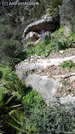 [P19] aici primeam explicatii despre flora si fauna!  » foto by balasa violeta
 - 
<span class="allrVoted glyphicon glyphicon-heart hidden" id="av982254"></span>
<a class="m-l-10 hidden" id="sv982254" onclick="voting_Foto_DelVot(,982254,25725)" role="button">șterge vot <span class="glyphicon glyphicon-remove"></span></a>
<a id="v9982254" class=" c-red"  onclick="voting_Foto_SetVot(982254)" role="button"><span class="glyphicon glyphicon-heart-empty"></span> <b>LIKE</b> = Votează poza</a> <img class="hidden"  id="f982254W9" src="/imagini/loader.gif" border="0" /><span class="AjErrMes hidden" id="e982254ErM"></span>
