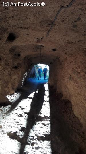 [P02] Iesirea din tunel!  » foto by balasa violeta
 - 
<span class="allrVoted glyphicon glyphicon-heart hidden" id="av982237"></span>
<a class="m-l-10 hidden" id="sv982237" onclick="voting_Foto_DelVot(,982237,25725)" role="button">șterge vot <span class="glyphicon glyphicon-remove"></span></a>
<a id="v9982237" class=" c-red"  onclick="voting_Foto_SetVot(982237)" role="button"><span class="glyphicon glyphicon-heart-empty"></span> <b>LIKE</b> = Votează poza</a> <img class="hidden"  id="f982237W9" src="/imagini/loader.gif" border="0" /><span class="AjErrMes hidden" id="e982237ErM"></span>