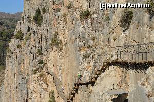 [P17] Poteca suspendata de-a lungul peretelui vertical este numai la prima vedere periculoasa, iar diferente de nivel sunt rare si nu extrem de mari » foto by Radu Tudoran
 - 
<span class="allrVoted glyphicon glyphicon-heart hidden" id="av667462"></span>
<a class="m-l-10 hidden" id="sv667462" onclick="voting_Foto_DelVot(,667462,25725)" role="button">șterge vot <span class="glyphicon glyphicon-remove"></span></a>
<a id="v9667462" class=" c-red"  onclick="voting_Foto_SetVot(667462)" role="button"><span class="glyphicon glyphicon-heart-empty"></span> <b>LIKE</b> = Votează poza</a> <img class="hidden"  id="f667462W9" src="/imagini/loader.gif" border="0" /><span class="AjErrMes hidden" id="e667462ErM"></span>