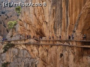 [P09]  -- <small>// FĂRĂ DESCRIERE</small> » foto by Maya_C
 - 
<span class="allrVoted glyphicon glyphicon-heart hidden" id="av1505972"></span>
<a class="m-l-10 hidden" id="sv1505972" onclick="voting_Foto_DelVot(,1505972,25725)" role="button">șterge vot <span class="glyphicon glyphicon-remove"></span></a>
<a id="v91505972" class=" c-red"  onclick="voting_Foto_SetVot(1505972)" role="button"><span class="glyphicon glyphicon-heart-empty"></span> <b>LIKE</b> = Votează poza</a> <img class="hidden"  id="f1505972W9" src="/imagini/loader.gif" border="0" /><span class="AjErrMes hidden" id="e1505972ErM"></span>