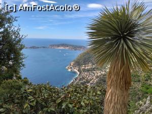 [P02] De la înălţimea Jardin Exotique d' Èze » foto by irinad
 - 
<span class="allrVoted glyphicon glyphicon-heart hidden" id="av1109936"></span>
<a class="m-l-10 hidden" id="sv1109936" onclick="voting_Foto_DelVot(,1109936,25726)" role="button">șterge vot <span class="glyphicon glyphicon-remove"></span></a>
<a id="v91109936" class=" c-red"  onclick="voting_Foto_SetVot(1109936)" role="button"><span class="glyphicon glyphicon-heart-empty"></span> <b>LIKE</b> = Votează poza</a> <img class="hidden"  id="f1109936W9" src="/imagini/loader.gif" border="0" /><span class="AjErrMes hidden" id="e1109936ErM"></span>