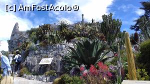 [P31] Intrare în Jardin Exotique d' Èze » foto by irinad
 - 
<span class="allrVoted glyphicon glyphicon-heart hidden" id="av1109965"></span>
<a class="m-l-10 hidden" id="sv1109965" onclick="voting_Foto_DelVot(,1109965,25726)" role="button">șterge vot <span class="glyphicon glyphicon-remove"></span></a>
<a id="v91109965" class=" c-red"  onclick="voting_Foto_SetVot(1109965)" role="button"><span class="glyphicon glyphicon-heart-empty"></span> <b>LIKE</b> = Votează poza</a> <img class="hidden"  id="f1109965W9" src="/imagini/loader.gif" border="0" /><span class="AjErrMes hidden" id="e1109965ErM"></span>