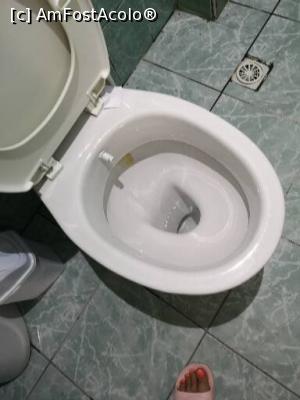 [P03] vas de wc » foto by Mititica*
 - 
<span class="allrVoted glyphicon glyphicon-heart hidden" id="av1110021"></span>
<a class="m-l-10 hidden" id="sv1110021" onclick="voting_Foto_DelVot(,1110021,25727)" role="button">șterge vot <span class="glyphicon glyphicon-remove"></span></a>
<a id="v91110021" class=" c-red"  onclick="voting_Foto_SetVot(1110021)" role="button"><span class="glyphicon glyphicon-heart-empty"></span> <b>LIKE</b> = Votează poza</a> <img class="hidden"  id="f1110021W9" src="/imagini/loader.gif" border="0" /><span class="AjErrMes hidden" id="e1110021ErM"></span>