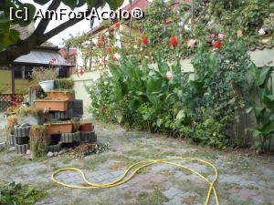 [P22] Șelimbăr - Vila Bel Ami. Florile din curte.  » foto by iulianic
 - 
<span class="allrVoted glyphicon glyphicon-heart hidden" id="av1111144"></span>
<a class="m-l-10 hidden" id="sv1111144" onclick="voting_Foto_DelVot(,1111144,25738)" role="button">șterge vot <span class="glyphicon glyphicon-remove"></span></a>
<a id="v91111144" class=" c-red"  onclick="voting_Foto_SetVot(1111144)" role="button"><span class="glyphicon glyphicon-heart-empty"></span> <b>LIKE</b> = Votează poza</a> <img class="hidden"  id="f1111144W9" src="/imagini/loader.gif" border="0" /><span class="AjErrMes hidden" id="e1111144ErM"></span>