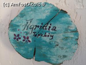 [P18] Camera noastră, Agridia » foto by crismis
 - 
<span class="allrVoted glyphicon glyphicon-heart hidden" id="av1111999"></span>
<a class="m-l-10 hidden" id="sv1111999" onclick="voting_Foto_DelVot(,1111999,25746)" role="button">șterge vot <span class="glyphicon glyphicon-remove"></span></a>
<a id="v91111999" class=" c-red"  onclick="voting_Foto_SetVot(1111999)" role="button"><span class="glyphicon glyphicon-heart-empty"></span> <b>LIKE</b> = Votează poza</a> <img class="hidden"  id="f1111999W9" src="/imagini/loader.gif" border="0" /><span class="AjErrMes hidden" id="e1111999ErM"></span>