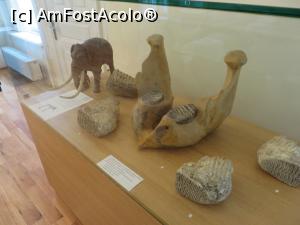 [P10] Animale preistorice la muzeul din Tecuci.  » foto by tata123 🔱
 - 
<span class="allrVoted glyphicon glyphicon-heart hidden" id="av769765"></span>
<a class="m-l-10 hidden" id="sv769765" onclick="voting_Foto_DelVot(,769765,25751)" role="button">șterge vot <span class="glyphicon glyphicon-remove"></span></a>
<a id="v9769765" class=" c-red"  onclick="voting_Foto_SetVot(769765)" role="button"><span class="glyphicon glyphicon-heart-empty"></span> <b>LIKE</b> = Votează poza</a> <img class="hidden"  id="f769765W9" src="/imagini/loader.gif" border="0" /><span class="AjErrMes hidden" id="e769765ErM"></span>