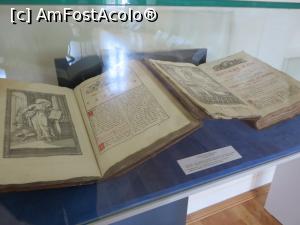 [P05] Exponate în prima sală a muzeului din Tecuci.  » foto by tata123 🔱
 - 
<span class="allrVoted glyphicon glyphicon-heart hidden" id="av769760"></span>
<a class="m-l-10 hidden" id="sv769760" onclick="voting_Foto_DelVot(,769760,25751)" role="button">șterge vot <span class="glyphicon glyphicon-remove"></span></a>
<a id="v9769760" class=" c-red"  onclick="voting_Foto_SetVot(769760)" role="button"><span class="glyphicon glyphicon-heart-empty"></span> <b>LIKE</b> = Votează poza</a> <img class="hidden"  id="f769760W9" src="/imagini/loader.gif" border="0" /><span class="AjErrMes hidden" id="e769760ErM"></span>