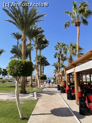 [P39] Prin resort » foto by krisstinna
 - 
<span class="allrVoted glyphicon glyphicon-heart hidden" id="av1277373"></span>
<a class="m-l-10 hidden" id="sv1277373" onclick="voting_Foto_DelVot(,1277373,25753)" role="button">șterge vot <span class="glyphicon glyphicon-remove"></span></a>
<a id="v91277373" class=" c-red"  onclick="voting_Foto_SetVot(1277373)" role="button"><span class="glyphicon glyphicon-heart-empty"></span> <b>LIKE</b> = Votează poza</a> <img class="hidden"  id="f1277373W9" src="/imagini/loader.gif" border="0" /><span class="AjErrMes hidden" id="e1277373ErM"></span>