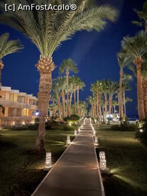 [P57] Seara, prin resort » foto by krisstinna
 - 
<span class="allrVoted glyphicon glyphicon-heart hidden" id="av1277391"></span>
<a class="m-l-10 hidden" id="sv1277391" onclick="voting_Foto_DelVot(,1277391,25753)" role="button">șterge vot <span class="glyphicon glyphicon-remove"></span></a>
<a id="v91277391" class=" c-red"  onclick="voting_Foto_SetVot(1277391)" role="button"><span class="glyphicon glyphicon-heart-empty"></span> <b>LIKE</b> = Votează poza</a> <img class="hidden"  id="f1277391W9" src="/imagini/loader.gif" border="0" /><span class="AjErrMes hidden" id="e1277391ErM"></span>