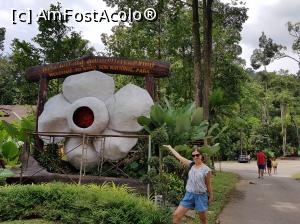 [P23] Parcul National Khao Sok » foto by atti_sz
 - 
<span class="allrVoted glyphicon glyphicon-heart hidden" id="av1114667"></span>
<a class="m-l-10 hidden" id="sv1114667" onclick="voting_Foto_DelVot(,1114667,25773)" role="button">șterge vot <span class="glyphicon glyphicon-remove"></span></a>
<a id="v91114667" class=" c-red"  onclick="voting_Foto_SetVot(1114667)" role="button"><span class="glyphicon glyphicon-heart-empty"></span> <b>LIKE</b> = Votează poza</a> <img class="hidden"  id="f1114667W9" src="/imagini/loader.gif" border="0" /><span class="AjErrMes hidden" id="e1114667ErM"></span>
