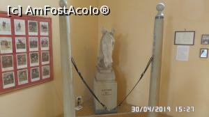 [P29] Palatul Festetics, Keszthely, Muzeul Caleștilor » foto by ungureanica
 - 
<span class="allrVoted glyphicon glyphicon-heart hidden" id="av1117713"></span>
<a class="m-l-10 hidden" id="sv1117713" onclick="voting_Foto_DelVot(,1117713,25784)" role="button">șterge vot <span class="glyphicon glyphicon-remove"></span></a>
<a id="v91117713" class=" c-red"  onclick="voting_Foto_SetVot(1117713)" role="button"><span class="glyphicon glyphicon-heart-empty"></span> <b>LIKE</b> = Votează poza</a> <img class="hidden"  id="f1117713W9" src="/imagini/loader.gif" border="0" /><span class="AjErrMes hidden" id="e1117713ErM"></span>