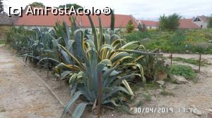 [P01] Casa Palmierilor - Palatul Festetics, Keszthely » foto by ungureanica
 - 
<span class="allrVoted glyphicon glyphicon-heart hidden" id="av1122335"></span>
<a class="m-l-10 hidden" id="sv1122335" onclick="voting_Foto_DelVot(,1122335,25784)" role="button">șterge vot <span class="glyphicon glyphicon-remove"></span></a>
<a id="v91122335" class=" c-red"  onclick="voting_Foto_SetVot(1122335)" role="button"><span class="glyphicon glyphicon-heart-empty"></span> <b>LIKE</b> = Votează poza</a> <img class="hidden"  id="f1122335W9" src="/imagini/loader.gif" border="0" /><span class="AjErrMes hidden" id="e1122335ErM"></span>