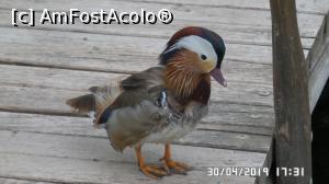 [P15] Casa Palmierilor - Palatul Festetics, Keszthely » foto by ungureanica
 - 
<span class="allrVoted glyphicon glyphicon-heart hidden" id="av1122349"></span>
<a class="m-l-10 hidden" id="sv1122349" onclick="voting_Foto_DelVot(,1122349,25784)" role="button">șterge vot <span class="glyphicon glyphicon-remove"></span></a>
<a id="v91122349" class=" c-red"  onclick="voting_Foto_SetVot(1122349)" role="button"><span class="glyphicon glyphicon-heart-empty"></span> <b>LIKE</b> = Votează poza</a> <img class="hidden"  id="f1122349W9" src="/imagini/loader.gif" border="0" /><span class="AjErrMes hidden" id="e1122349ErM"></span>