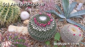 [P29] Casa Palmierilor - Palatul Festetics, Keszthely. În sera cu cactuși » foto by ungureanica
 - 
<span class="allrVoted glyphicon glyphicon-heart hidden" id="av1122363"></span>
<a class="m-l-10 hidden" id="sv1122363" onclick="voting_Foto_DelVot(,1122363,25784)" role="button">șterge vot <span class="glyphicon glyphicon-remove"></span></a>
<a id="v91122363" class=" c-red"  onclick="voting_Foto_SetVot(1122363)" role="button"><span class="glyphicon glyphicon-heart-empty"></span> <b>LIKE</b> = Votează poza</a> <img class="hidden"  id="f1122363W9" src="/imagini/loader.gif" border="0" /><span class="AjErrMes hidden" id="e1122363ErM"></span>