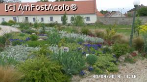 [P04] Casa Palmierilor - Palatul Festetics, Keszthely » foto by ungureanica
 - 
<span class="allrVoted glyphicon glyphicon-heart hidden" id="av1122338"></span>
<a class="m-l-10 hidden" id="sv1122338" onclick="voting_Foto_DelVot(,1122338,25784)" role="button">șterge vot <span class="glyphicon glyphicon-remove"></span></a>
<a id="v91122338" class=" c-red"  onclick="voting_Foto_SetVot(1122338)" role="button"><span class="glyphicon glyphicon-heart-empty"></span> <b>LIKE</b> = Votează poza</a> <img class="hidden"  id="f1122338W9" src="/imagini/loader.gif" border="0" /><span class="AjErrMes hidden" id="e1122338ErM"></span>