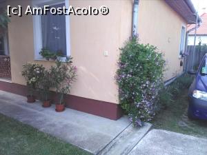 [P10] Casa în lateral, cu tufele de flori și ierburi plăcut mirositoare.  » foto by Carmen Ion
 - 
<span class="allrVoted glyphicon glyphicon-heart hidden" id="av1116527"></span>
<a class="m-l-10 hidden" id="sv1116527" onclick="voting_Foto_DelVot(,1116527,25799)" role="button">șterge vot <span class="glyphicon glyphicon-remove"></span></a>
<a id="v91116527" class=" c-red"  onclick="voting_Foto_SetVot(1116527)" role="button"><span class="glyphicon glyphicon-heart-empty"></span> <b>LIKE</b> = Votează poza</a> <img class="hidden"  id="f1116527W9" src="/imagini/loader.gif" border="0" /><span class="AjErrMes hidden" id="e1116527ErM"></span>