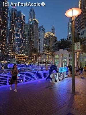 [P30] Dubai Marina seara, totul este spectaculos » foto by gabi-67
 - 
<span class="allrVoted glyphicon glyphicon-heart hidden" id="av1343297"></span>
<a class="m-l-10 hidden" id="sv1343297" onclick="voting_Foto_DelVot(,1343297,25803)" role="button">șterge vot <span class="glyphicon glyphicon-remove"></span></a>
<a id="v91343297" class=" c-red"  onclick="voting_Foto_SetVot(1343297)" role="button"><span class="glyphicon glyphicon-heart-empty"></span> <b>LIKE</b> = Votează poza</a> <img class="hidden"  id="f1343297W9" src="/imagini/loader.gif" border="0" /><span class="AjErrMes hidden" id="e1343297ErM"></span>