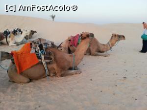 [P06] Camila ' ' safari' ' :)) a fost inclus in pretul excursiei » foto by DStefa
 - 
<span class="allrVoted glyphicon glyphicon-heart hidden" id="av1119267"></span>
<a class="m-l-10 hidden" id="sv1119267" onclick="voting_Foto_DelVot(,1119267,25830)" role="button">șterge vot <span class="glyphicon glyphicon-remove"></span></a>
<a id="v91119267" class=" c-red"  onclick="voting_Foto_SetVot(1119267)" role="button"><span class="glyphicon glyphicon-heart-empty"></span> <b>LIKE</b> = Votează poza</a> <img class="hidden"  id="f1119267W9" src="/imagini/loader.gif" border="0" /><span class="AjErrMes hidden" id="e1119267ErM"></span>