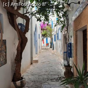 [P68] Hammamet, Alee în Medina » foto by mprofeanu
 - 
<span class="allrVoted glyphicon glyphicon-heart hidden" id="av1441786"></span>
<a class="m-l-10 hidden" id="sv1441786" onclick="voting_Foto_DelVot(,1441786,25830)" role="button">șterge vot <span class="glyphicon glyphicon-remove"></span></a>
<a id="v91441786" class=" c-red"  onclick="voting_Foto_SetVot(1441786)" role="button"><span class="glyphicon glyphicon-heart-empty"></span> <b>LIKE</b> = Votează poza</a> <img class="hidden"  id="f1441786W9" src="/imagini/loader.gif" border="0" /><span class="AjErrMes hidden" id="e1441786ErM"></span>